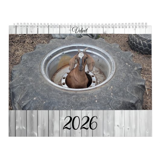 Goats of 2026 calendar カレンダー (カバー)