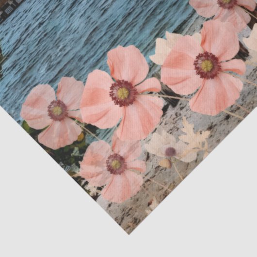 God is very creative  薄葉紙 (詳細)