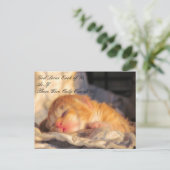 God Loves Usポストカードと子猫の写真 ポストカード (スタンド正面)