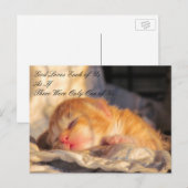 God Loves Usポストカードと子猫の写真 ポストカード (正面/裏面)