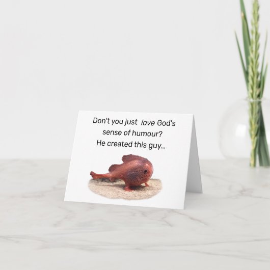 God’s Quirky Creation サンキューカード (正面)