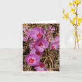 Godetiaノートカード カード (黄色い花)