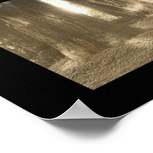 Gods Handiwork Redwood写真1912 ポスター (角)