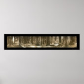 Gods Handiwork Redwood写真1912 ポスター (正面)