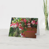 God's Love, Fuschia Flower カード (正面)