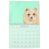 God's Peace Calendar  カレンダー (1月 2026)