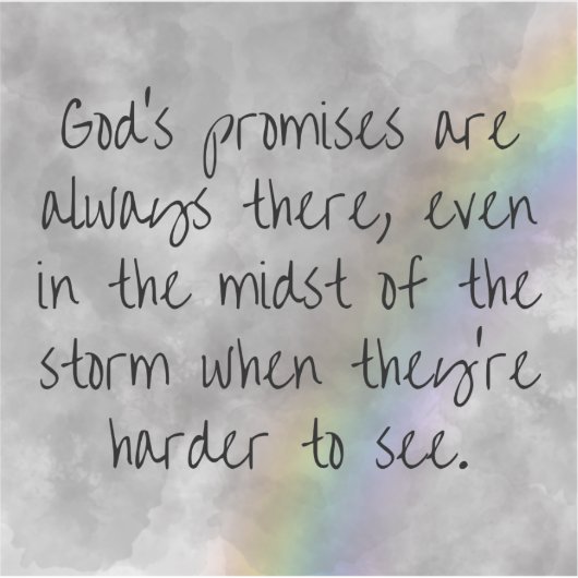 God's Promises Sticker - Hope Through the Storm シール (正面)