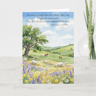God's Provision: Psalm 104:10-11  カード