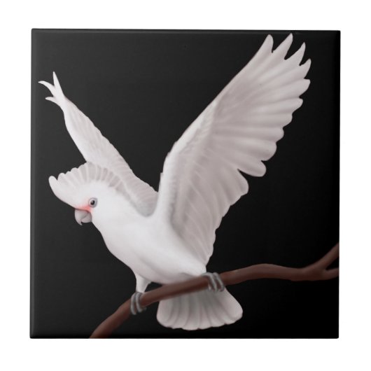 Goffinsのオカメインコのタイル タイル (正面)