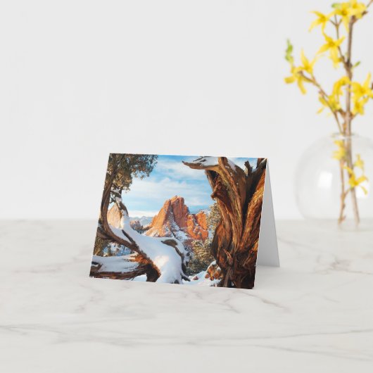 gog-apr2011 カード (黄色い花)