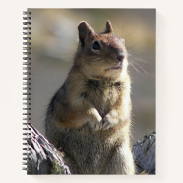Goging Ground Squirrelの自然写真 ノートブック