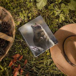 Goging Ground Squirrelの自然写真 ノートブック