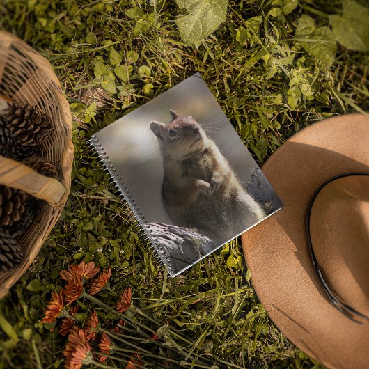 Goging Ground Squirrelの自然写真 ノートブック