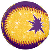 Gold and Purple Softball, Team PICTURE SOFTBALL ソフトボール (正面左)