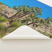 Gold Butte National Monument シェルパブランケット (3/4)