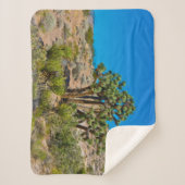 Gold Butte National Monument シェルパブランケット (正面)