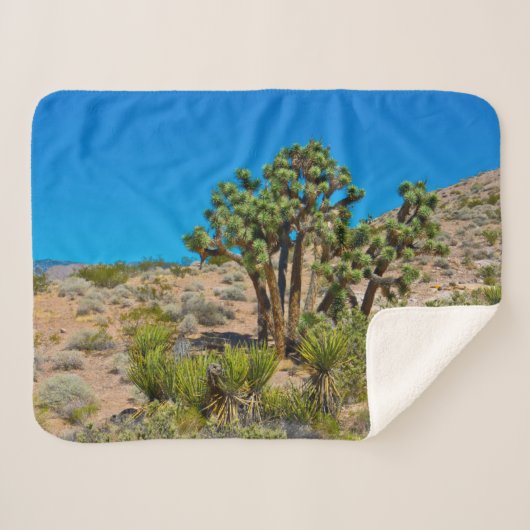 Gold Butte National Monument シェルパブランケット (正面(横))