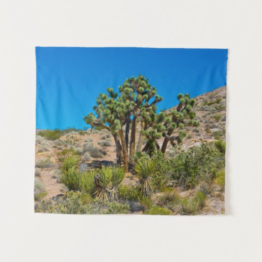 Gold Butte National Monument タペストリー (正面(横))