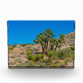 Gold Butte National Monument フォトブロック (正面)