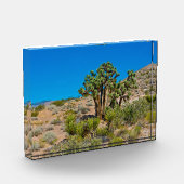 Gold Butte National Monument フォトブロック (左)