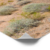 Gold Butte National Monument ポスター (角)