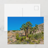 Gold Butte National Monument ポストカード (正面/裏面)