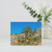 Gold Butte National Monument ポストカード (スタンド正面)