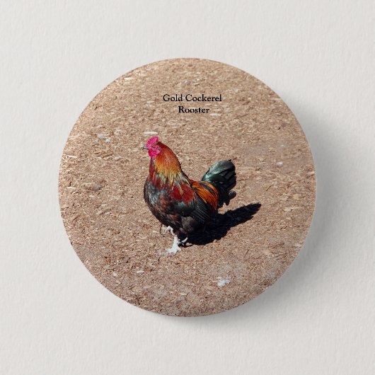 Gold Cockerel Rooster button 缶バッジ (正面)