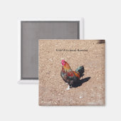 Gold Cockerel Rooster magnet マグネット (正面/裏面)