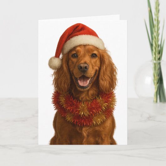 Gold / red Cocker Spaniel Happy Christmas card カード (正面)