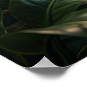 Gold Silk Spider Web ポスター (角)