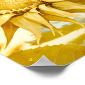 Gold Sunflowers After Van Gogh  ポスター (角)