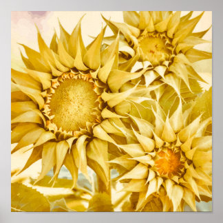 Gold Sunflowers After Van Gogh  ポスター