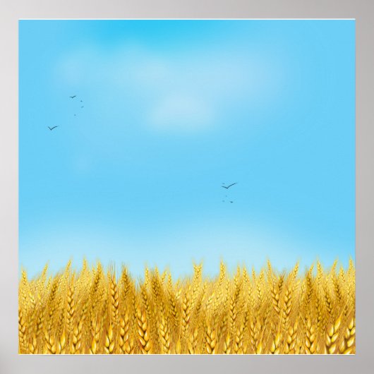 Gold Wheat Field Blue sky Oil Painting Summer ポスター (正面)