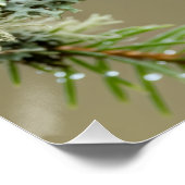 Goldcrest Macro Wildlife Poster ポスター (コーナー)