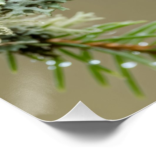 Goldcrest Macro Wildlife Poster ポスター (コーナー)