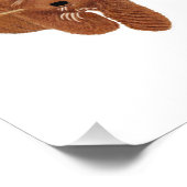 golden フォトプリント            (角)