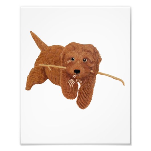 golden フォトプリント            (正面)