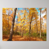 Golden ポスター (正面)