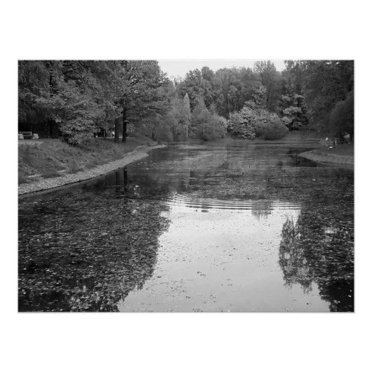 Golden Autumn Lake - Black & White Nordic Edition ポスター (正面)