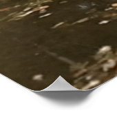 Golden Autumn Lake Edition ポスター (角)