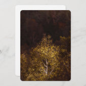 Golden autumn tree シーズンカード (正面/裏面)