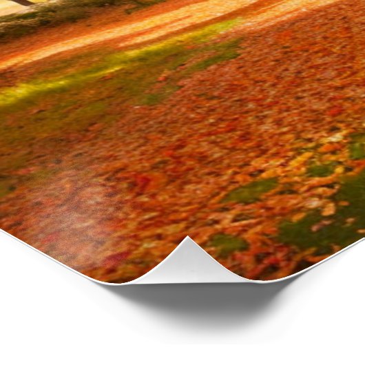 Golden Autumn Tree-lined Path Poster ポスター (コーナー)
