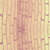 Golden Brick Wall – Symmetrical Architectural Patt 壁紙 (縫い目)