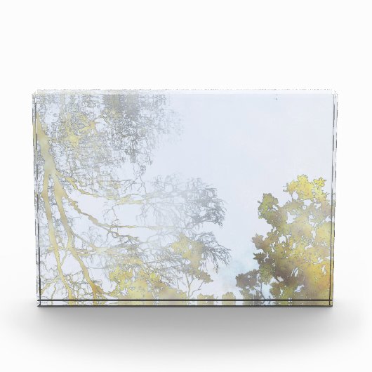 Golden Broadleaf Glow フォトブロック (正面)