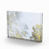 Golden Broadleaf Glow フォトブロック (右)