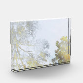 Golden Broadleaf Glow フォトブロック (左)