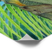 Golden Coconuts ポスター (角)