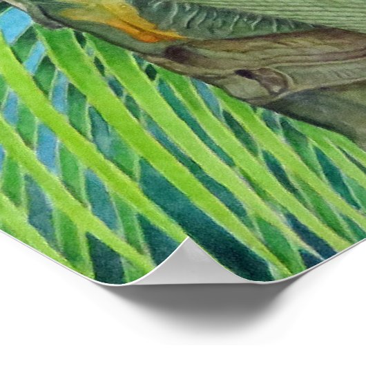 Golden Coconuts ポスター (角)