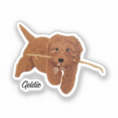 Golden Doodle  シール (正面)